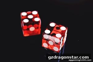 AG真人 gzdragonstar